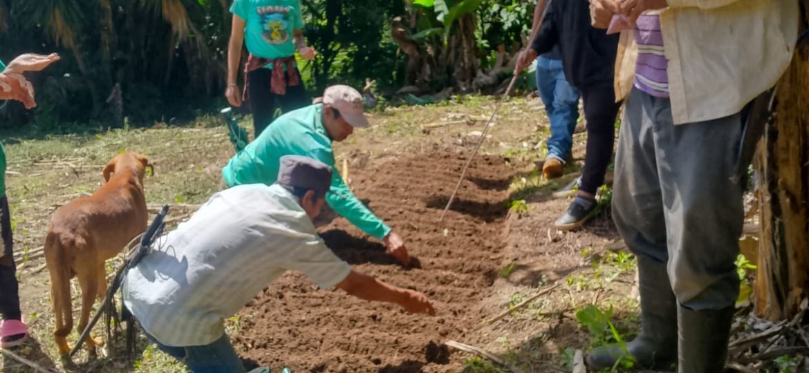 Cooperativa1