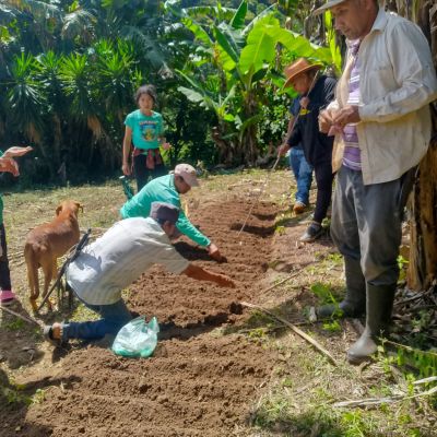 Cooperativa1